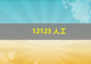 12123 人工